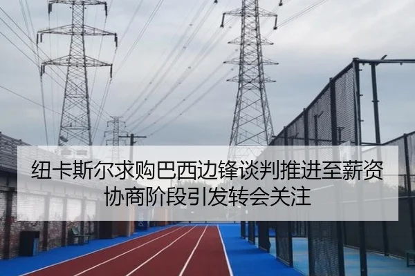 纽卡斯尔求购巴西边锋谈判推进至薪资协商阶段引发转会关注
